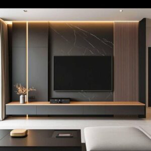 Douglass TV  unit